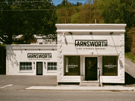Cannabis Farnsworth GIF
