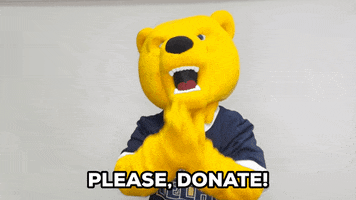 Video gif. The New York Institute of Technology mascot, a yellow bear in a jersey holds his hands together in prayer. Text, “Please donate!”