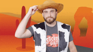 Lets Go Cowboy GIF by StickerGiant