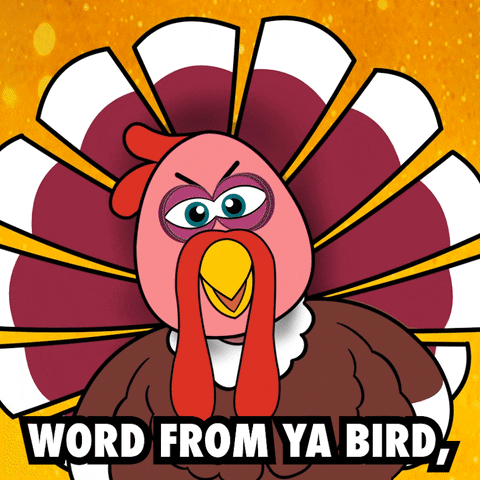 Thanksgiving Turkey GIF by VeeFriends