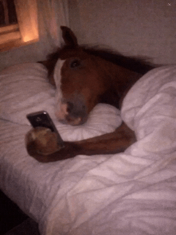 Horse GIF