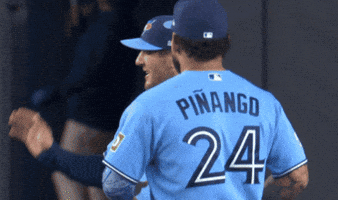 Blue Jays Baseball GIF by Toronto Blue Jays