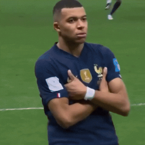 France Football GIF