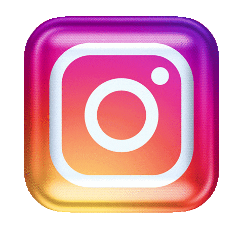 Instagram Logo Icon GIF
