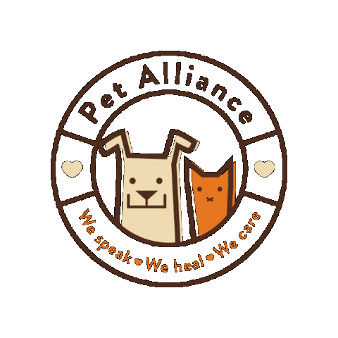 Orlando Pago Sticker by Pet Alliance