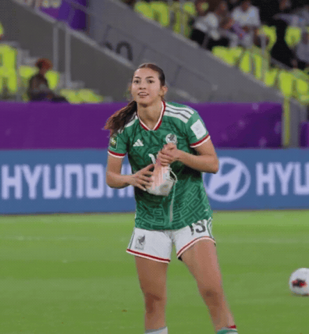Mexico Cele GIF