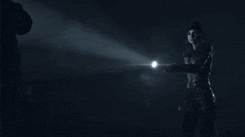 Until Dawn GIF