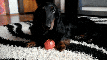 axn0b3jpaze5odzabwfpbc5ydq  GIF