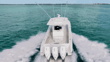 Boat Fishing GIF by GEMLUX