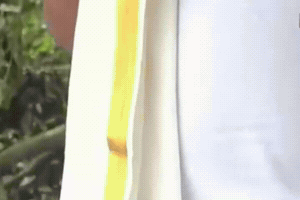 Santhosh Varkey GIF