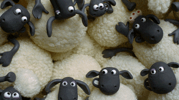 shaun the sheep movie page GIF