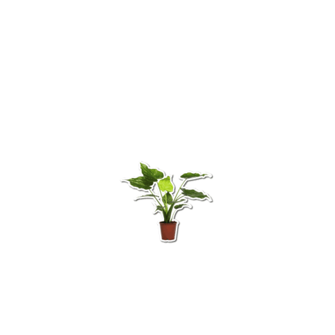 Boozed Sticker