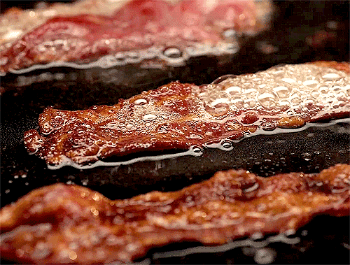 Resultado de imagem para bacon gif
