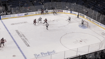 Hockey GIF by Ontario Reign