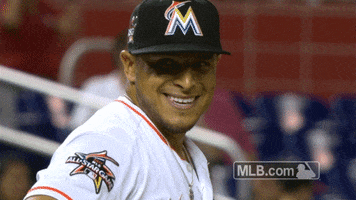 Miami Marlins Aj GIF by MLB