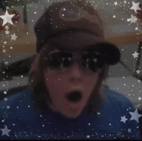 Fall Out Boy Raccoon GIF