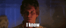 Star Wars gif. Harrison Ford as Han Solo stands in a dark room. Steam rises from behind him as he gazes intently towards us. Text, "I know." 