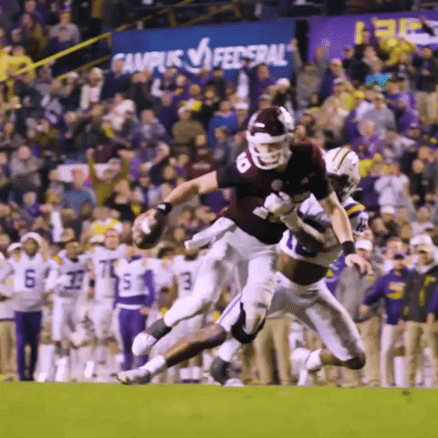 Death Valley Running GIF by LSU Tigers
