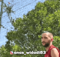 Morocco Wac GIF