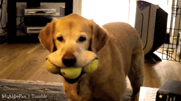 200.gif