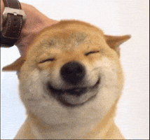 Happy Shiba Inu GIF by Shibetoshi Nakamoto Happy Shiba Inu GIF by Shibetoshi Nakamoto