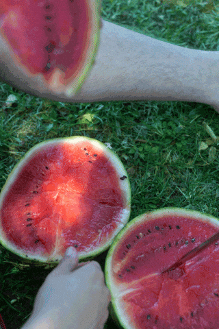 Art GIF