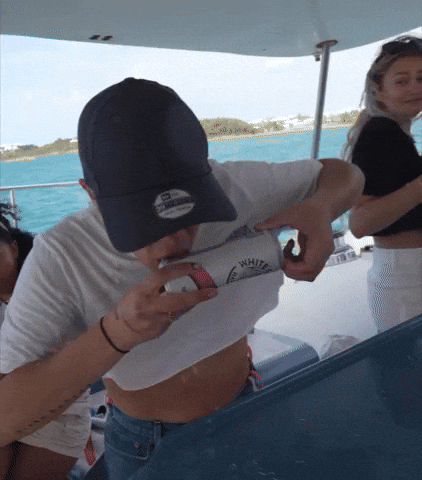 Party Summer GIF by Belligerent Bermuda
