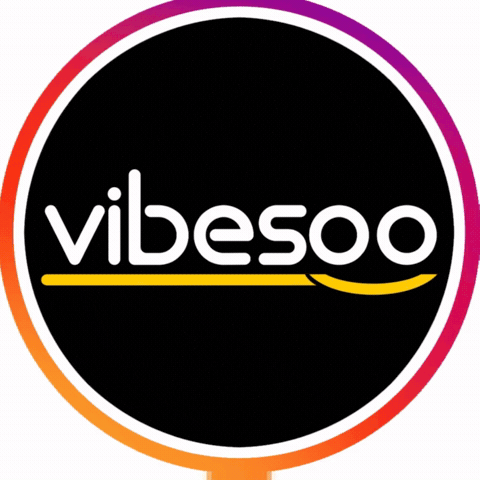 GIF by Vibesoo