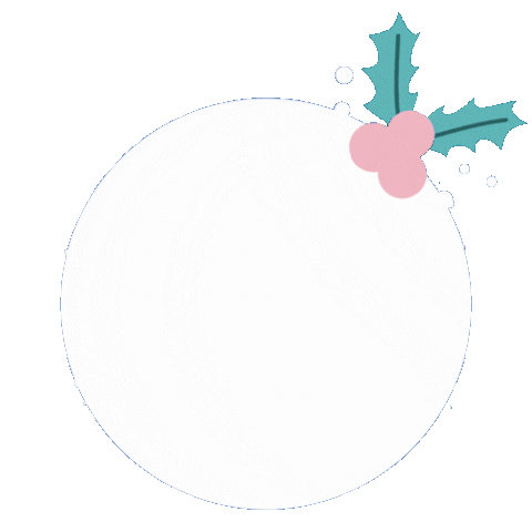 Climbing Technology Sticker