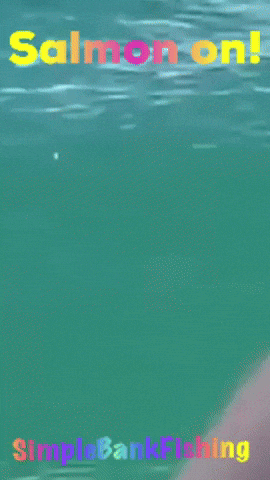 Fishing Seattle GIF