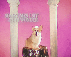 Dogs Dreaming GIF by Yung Bae