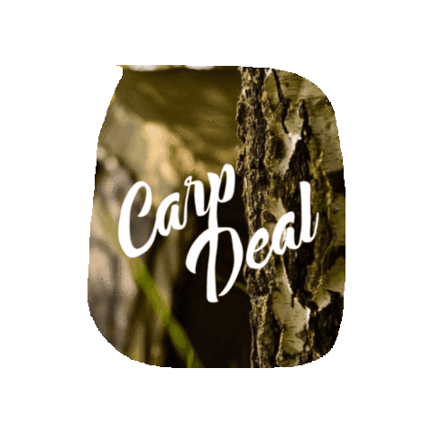 CarpDeal Sticker