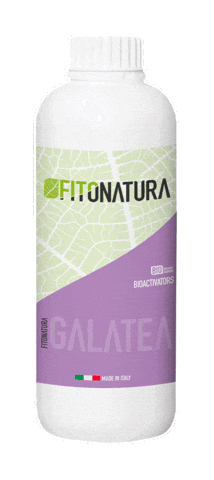 Galatea Sticker by pasaddak.agro