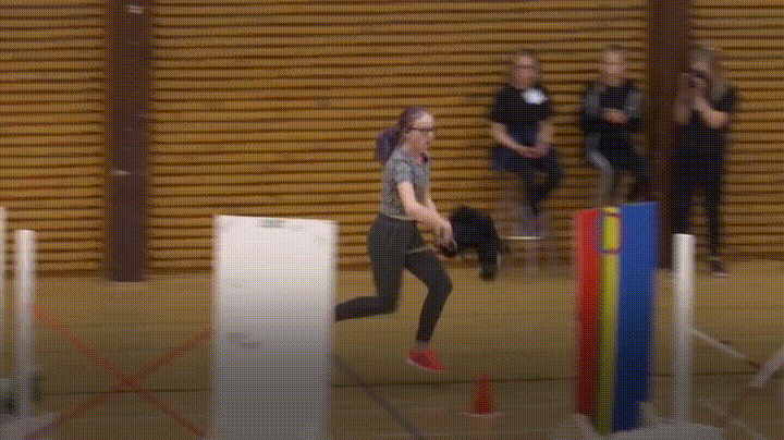 Horse Finland GIF - Find & Share on GIPHY