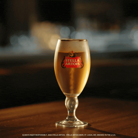 Fifa World Cup Waiting GIF by Stella Artois