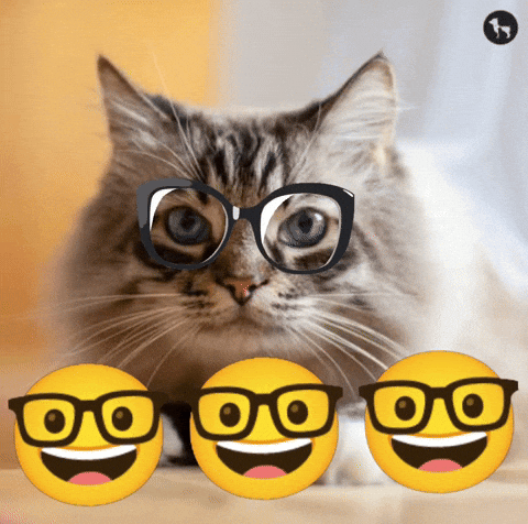 Cat GIF
