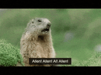 allen