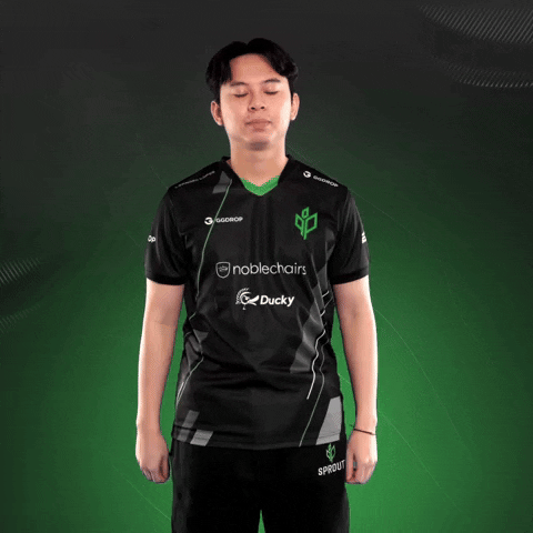 Esports Cs2 GIF by Sprout
