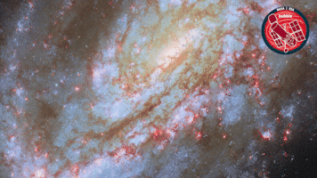 Universe Galaxy GIF by ESA/Hubble Space Telescope