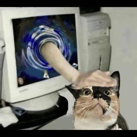 Cat Computer GIF