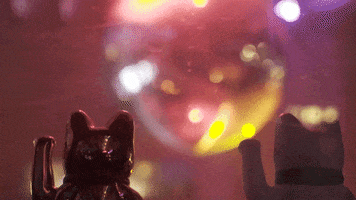 Hamburg Germany Festival GIF by Mein Hamburg