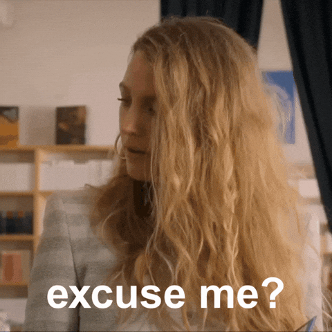 Excuse Me What GIF by Blake Lively Fan