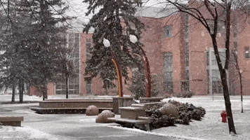 Snow Winter GIF by Minnesota State University Moorhead