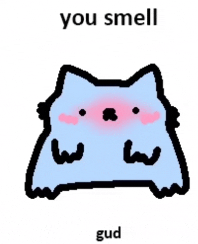 Cat You Smell Good GIF