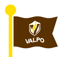 College Gold Sticker by Valparaiso University