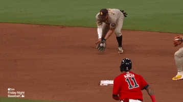 Baseball GIF
