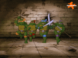 Tmnt GIF by Teenage Mutant Ninja Turtles