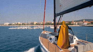 Mascot Binance GIF by CaptainBNB