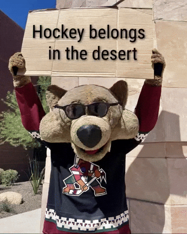 Arizona Coyotes GIF
