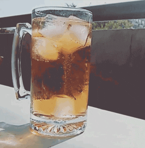 giphy.gif